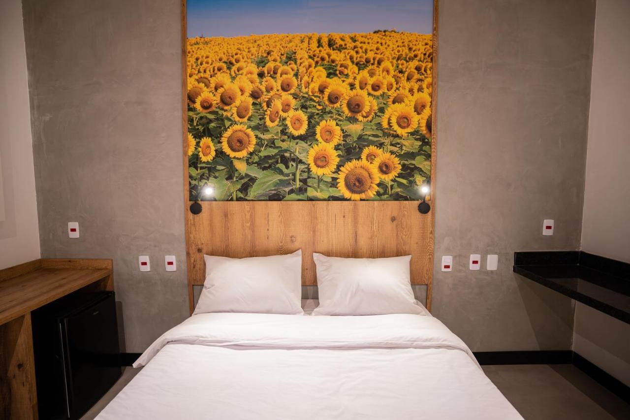 Campos De Holambra Inn Paranapanema Ngoại thất bức ảnh